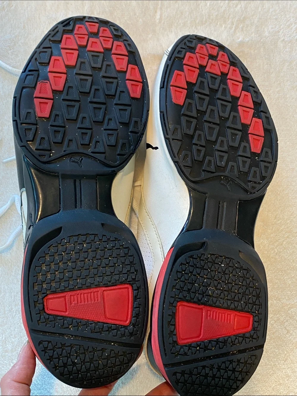 Puma tazon fm